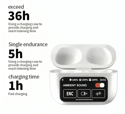 Noise Cancelling Earbuds with Screen