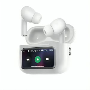 Noise Cancelling Earbuds with Screen